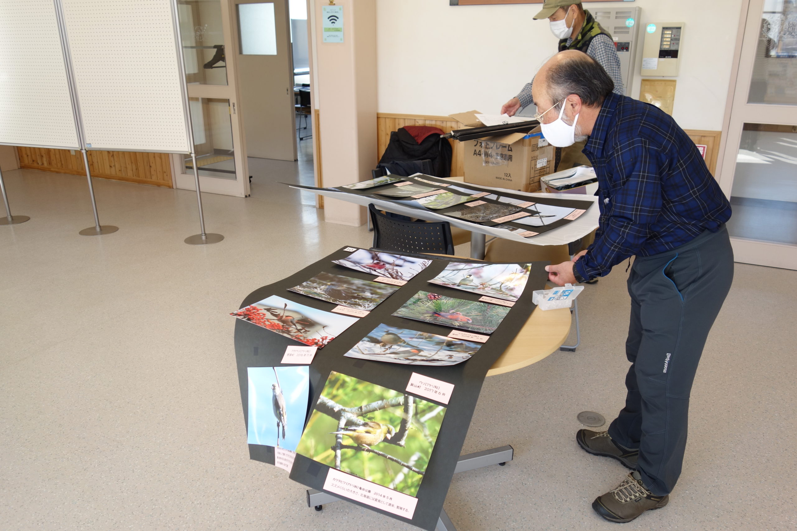 日本野鳥の会室蘭支部40周年「登別の野鳥たち」写真展 登別市市民活動センター